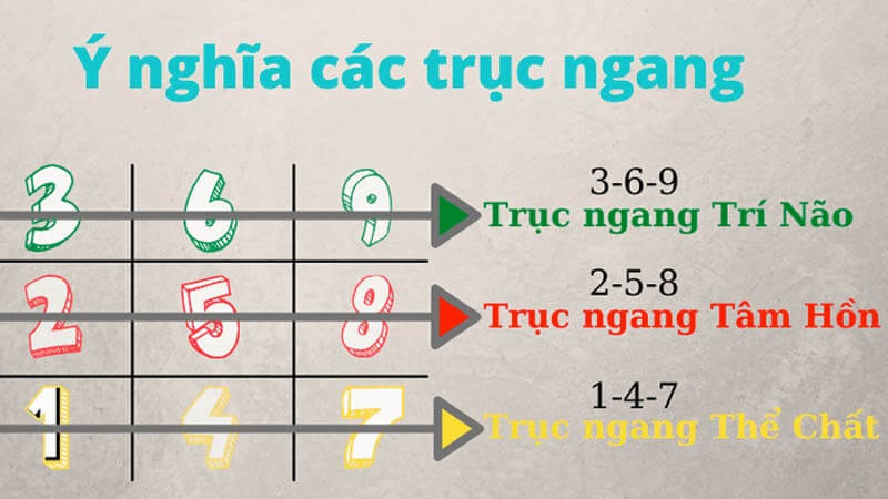 Cách đọc Biểu đồ sinh