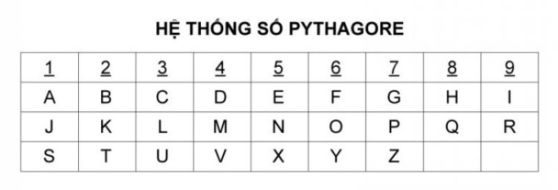 Cách đọc Biểu đồ sinh