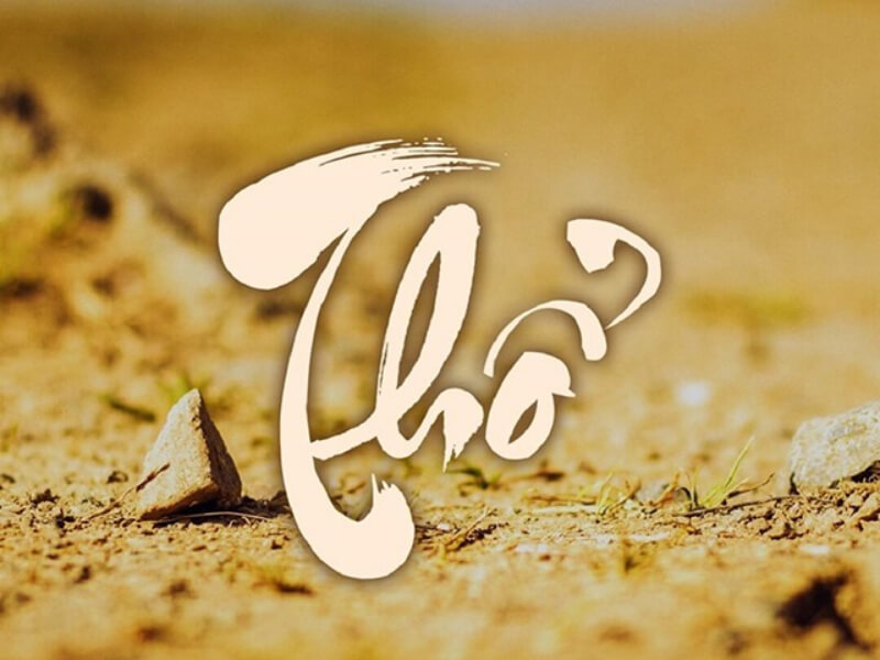 cây phong thủy cho người mệnh thủy