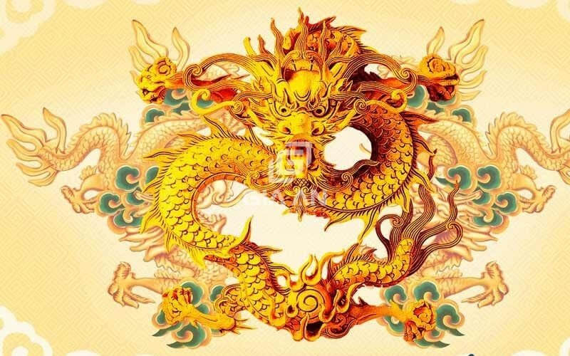 cây phong thủy tuổi thìn 1988