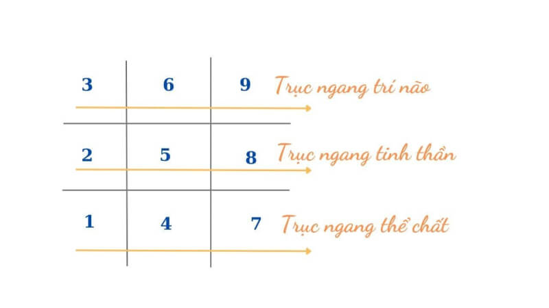 hướng dẫn phân tích Biểu đồ sinh