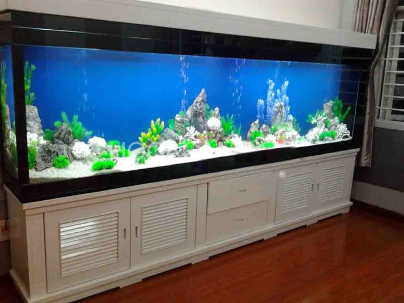 kích thước bể cá phong thủy