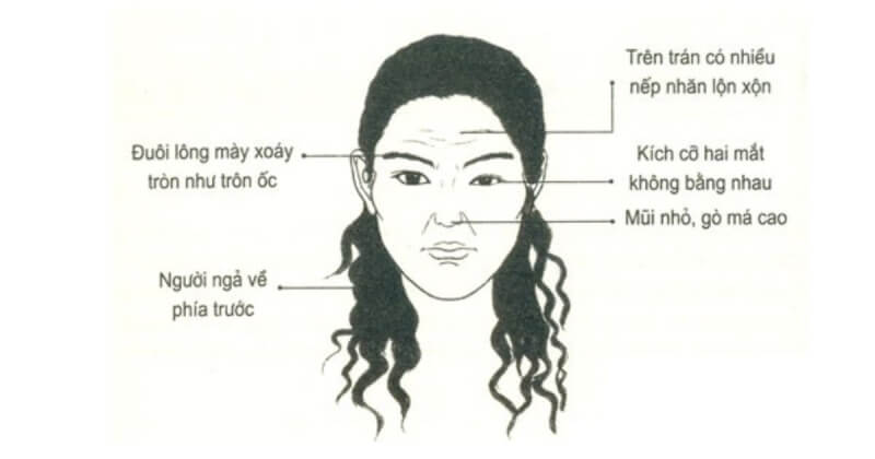 phong thủy nhân tướng học
