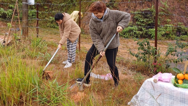 xem ngày động thổ