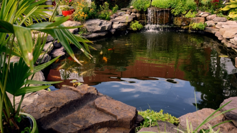 mơ thấy ao cạn nước điềm báo gì trong tương lai