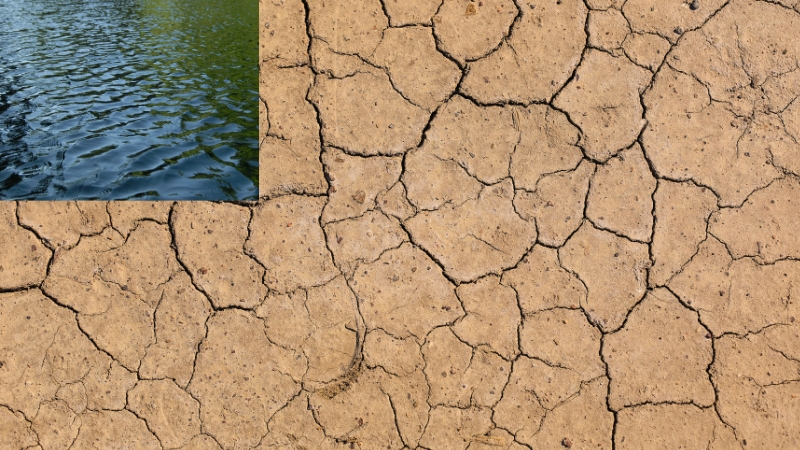 mơ thấy ao cạn nước hên hay xui