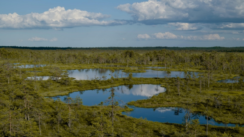 mơ thấy ao cạn nước đánh số mấy