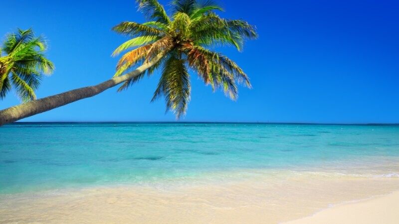 mơ thấy biển nước mênh mông giải mã giấc mơ