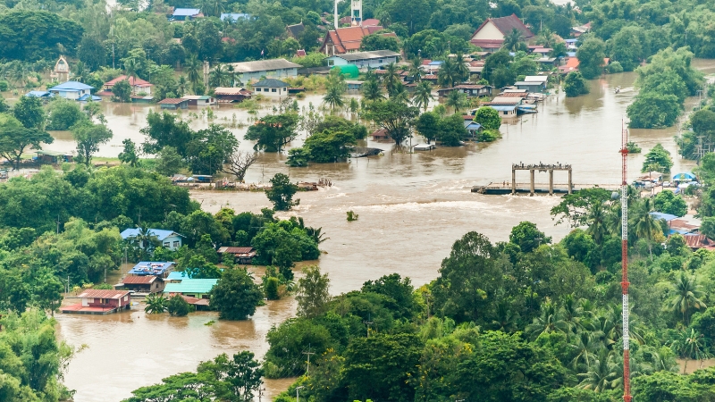 Mơ thấy lũ lụt đánh con gì