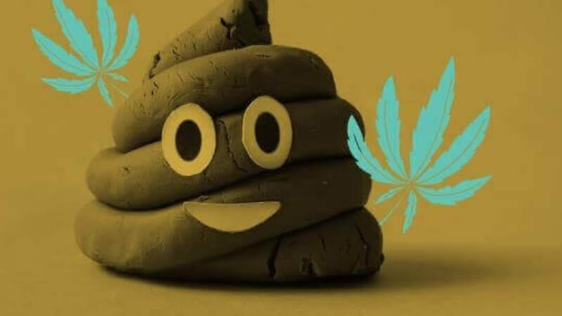 ý nghĩa mơ thấy phân người