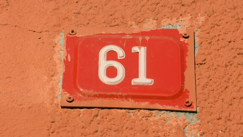 mơ thấy số 61 đánh con gì