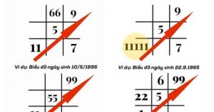 Cách đọc Biểu đồ sinh