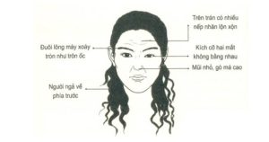 phong thủy nhân tướng học