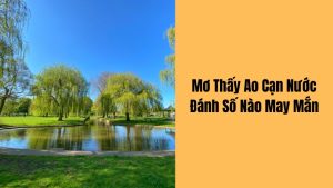 mơ thấy ao cạn nước