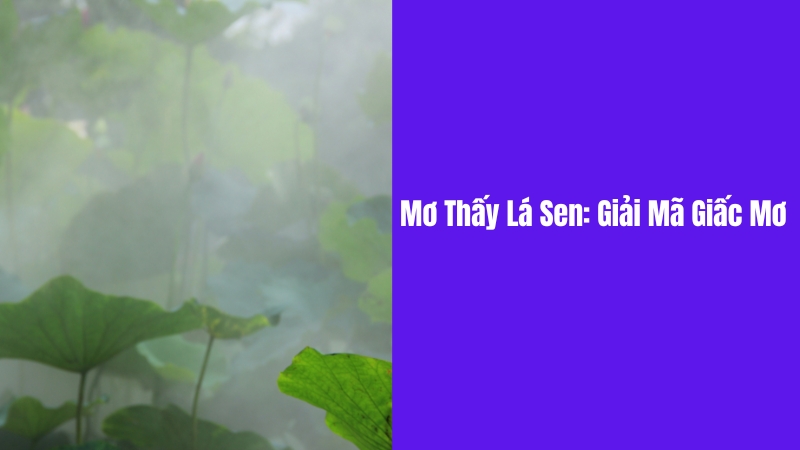 mơ thấy lá sen ý nghĩa giấc mơ