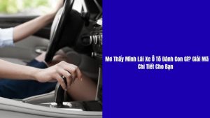 mơ thấy mình lái xe ô tô đánh con gì