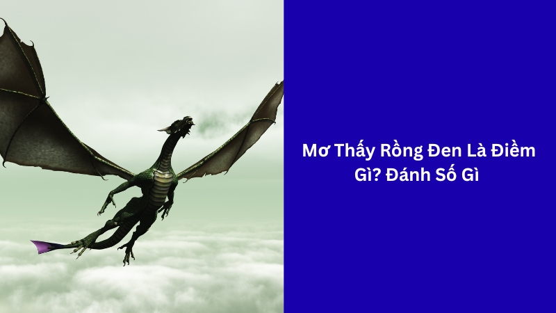 mơ thấy rồng đen