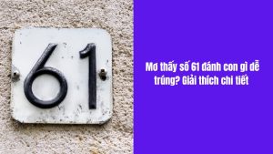 nằm mơ thấy số 61 đánh con gì