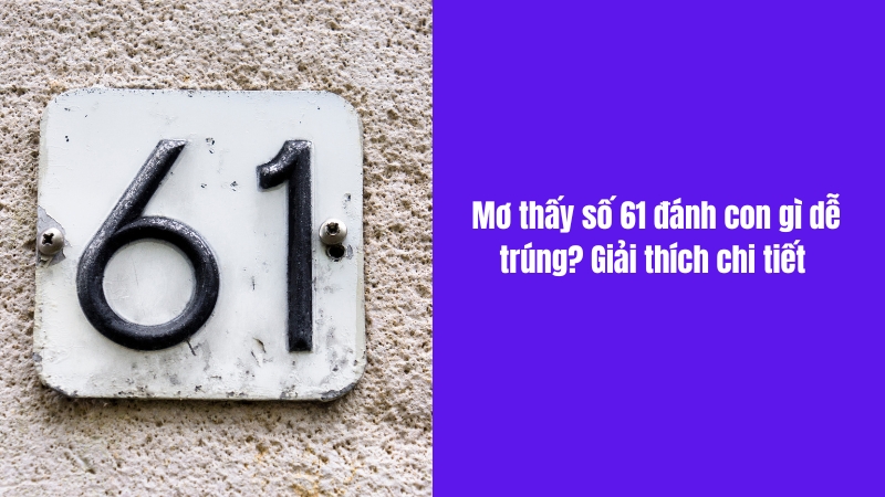 nằm mơ thấy số 61 đánh con gì