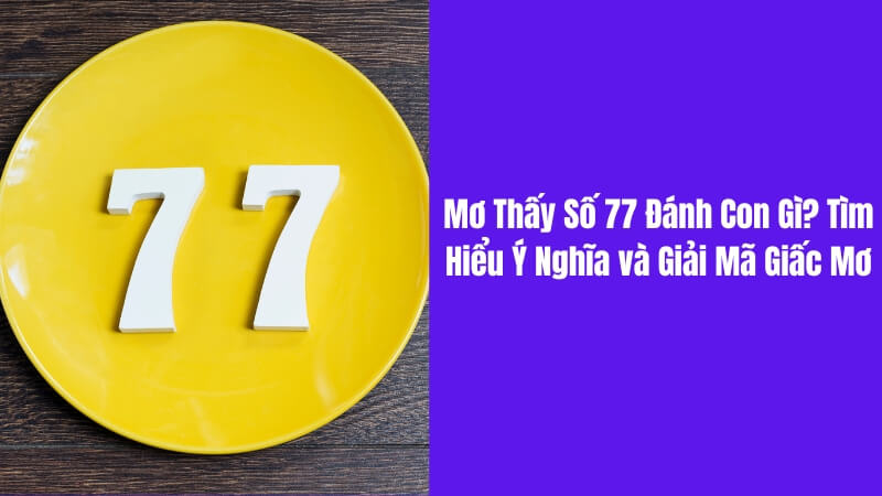 Mơ Thấy Số 77 Đánh Con Gì? Dễ Trúng